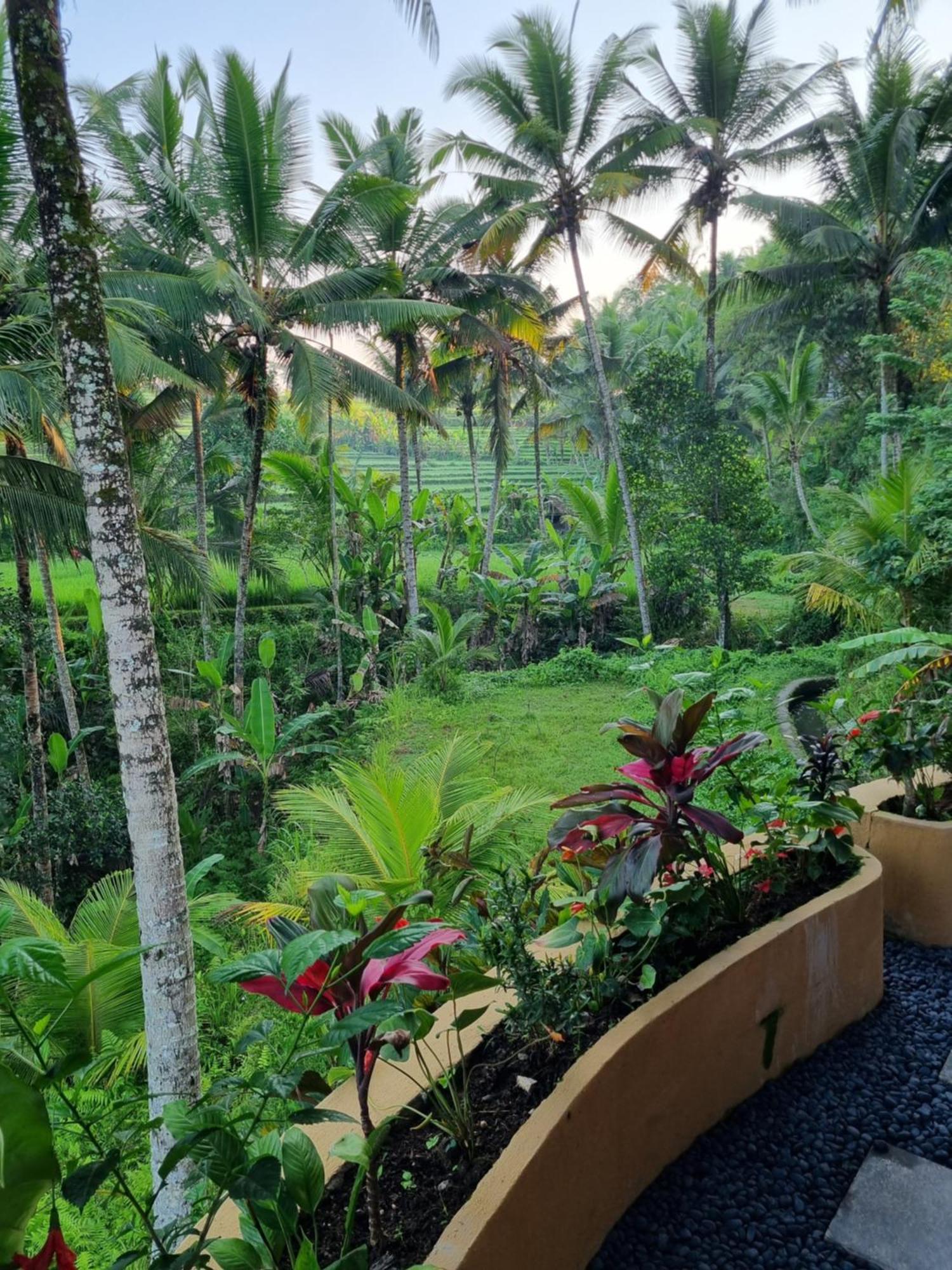 Puri Sebali Resort Ubud  Luaran gambar