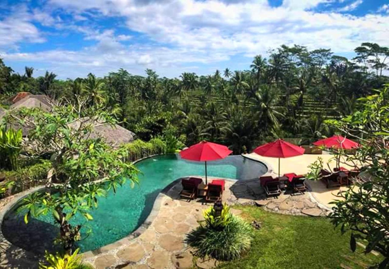 Puri Sebali Resort Ubud  Luaran gambar